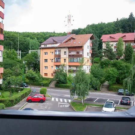 Alipn Haven * Braşov